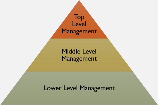 what is management